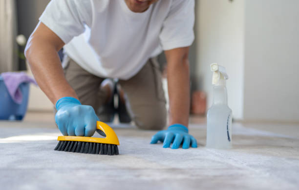 man cleaning carpet with brush