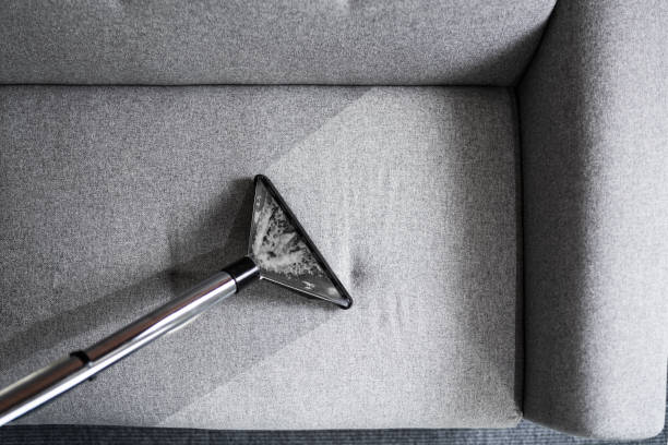 professional sofa cleaning service using vacuum cleaner